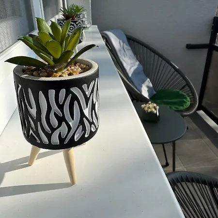 Appartement Monetto